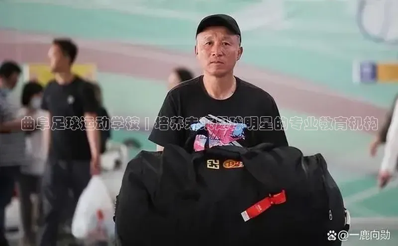 沐鸣2代理官网文心一言