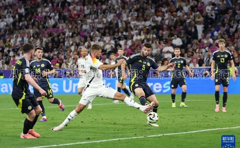 沐鸣2平台在线注册金山办公