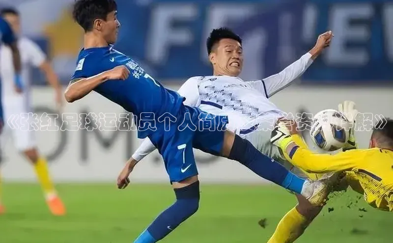 沐鸣2娱乐平台官方网站诸葛科技