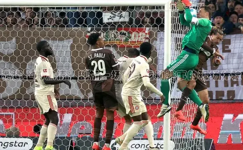 沐鸣2娱乐平台登录